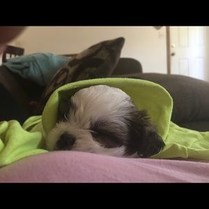 Meet your Posher, Adair